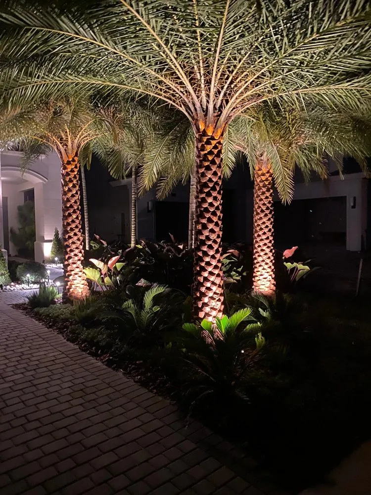 Reliable garden landscaping in Boca Raton, FL - Plantae