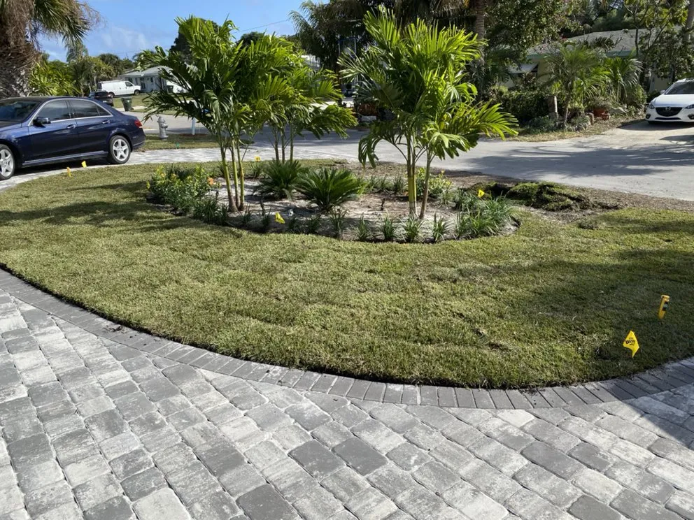 Affordable residential landscaping experts serving Boca Raton, FL - Plantae