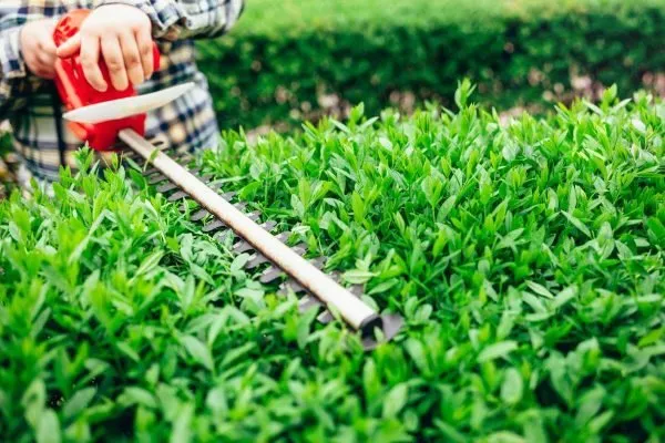 Trusted landscape design for year-round maintenance across Fort Pierce, FL - Plantart Land Services