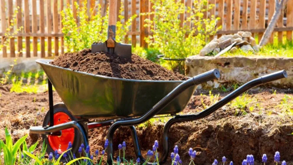 Top-rated garden landscaping in Fort Pierce, FL - Plantart Land Services