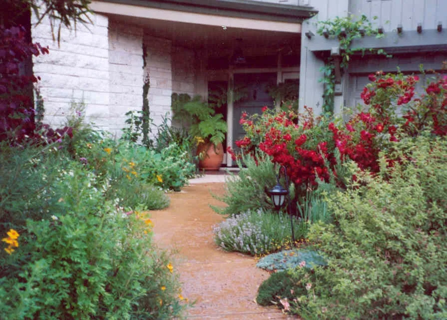 Custom landscape installation in San Francisco, CA by Plantasia Design Group
