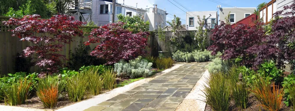 Top-rated landscaping services experts serving San Francisco, CA - Plantasia Design Group