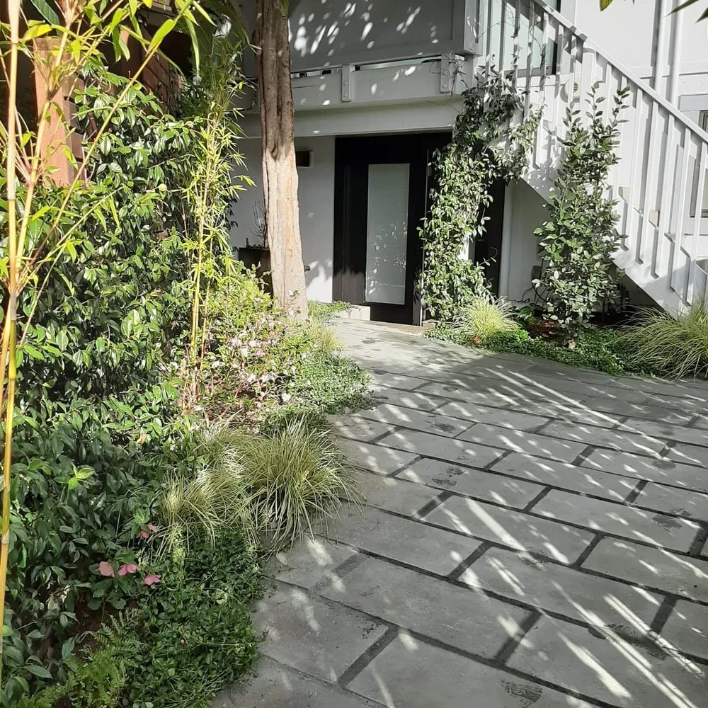 Trusted landscaping services for year-round maintenance in San Francisco, CA by Plantasia Design Group