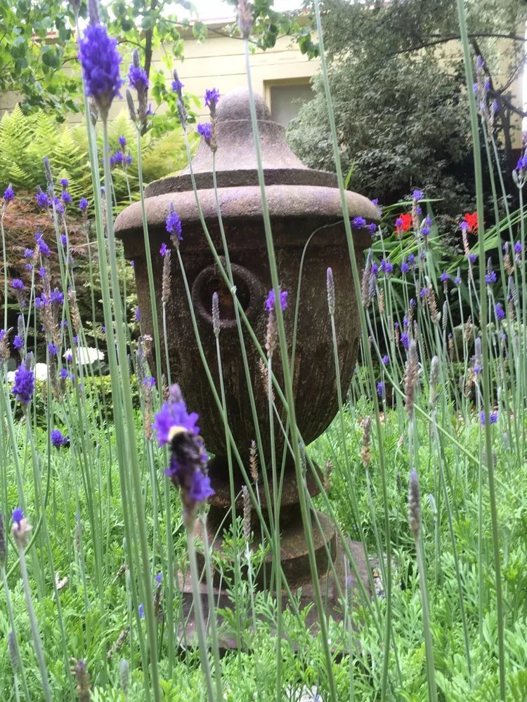 Custom landscape design experts serving San Francisco, CA - Plantasia Design Group