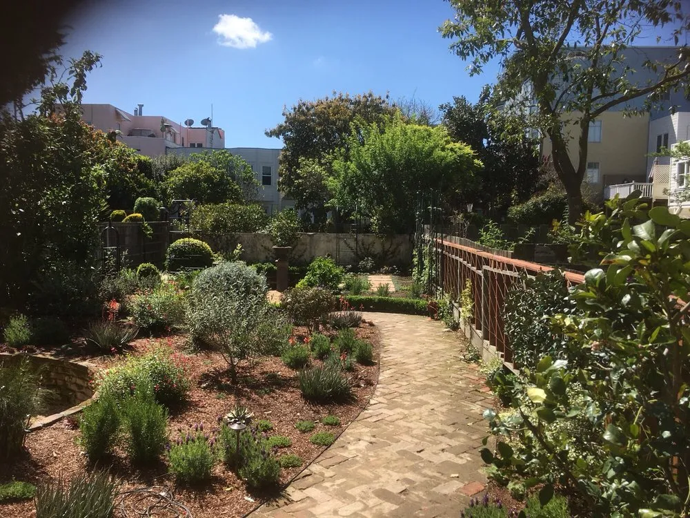 Reliable lawn mowing service for residential properties across San Francisco, CA - Plantasia Design Group