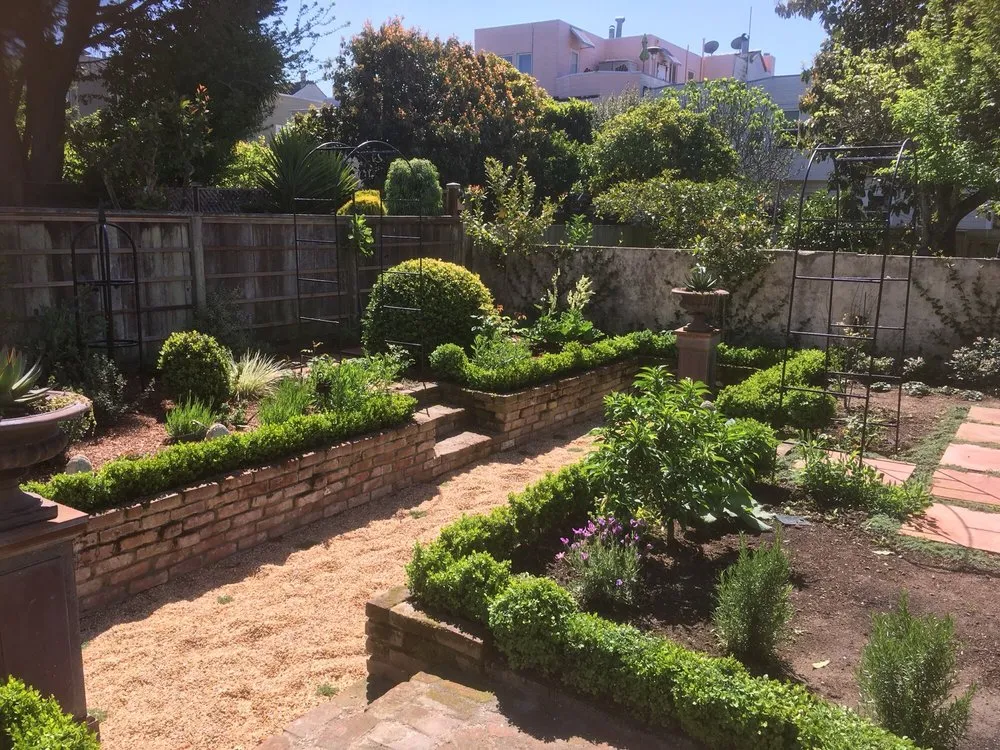 Trusted yard maintenance in San Francisco, CA by Plantasia Design Group