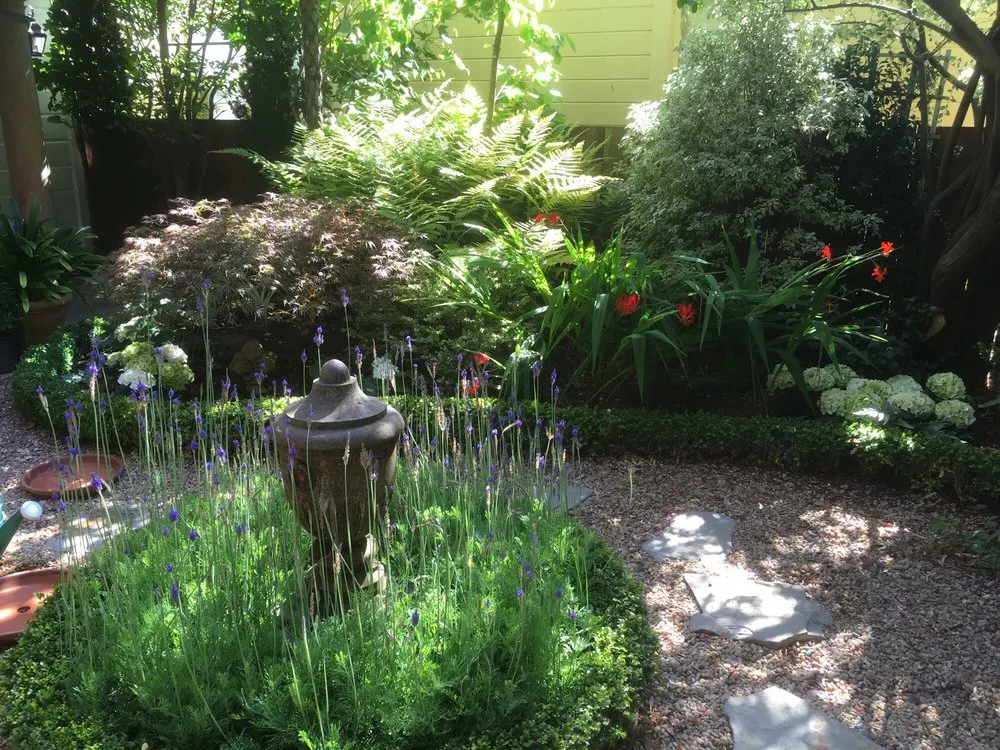 Reliable outdoor landscaping for residential properties across San Francisco, CA - Plantasia Design Group