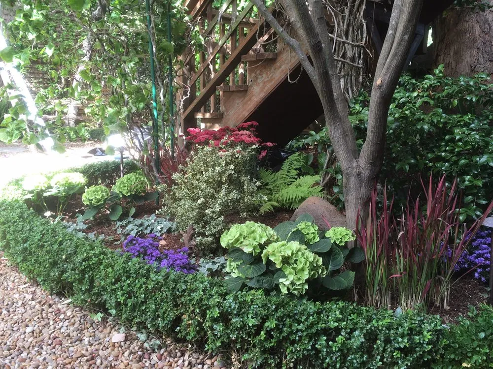 Local yard maintenance experts serving San Francisco, CA - Plantasia Design Group