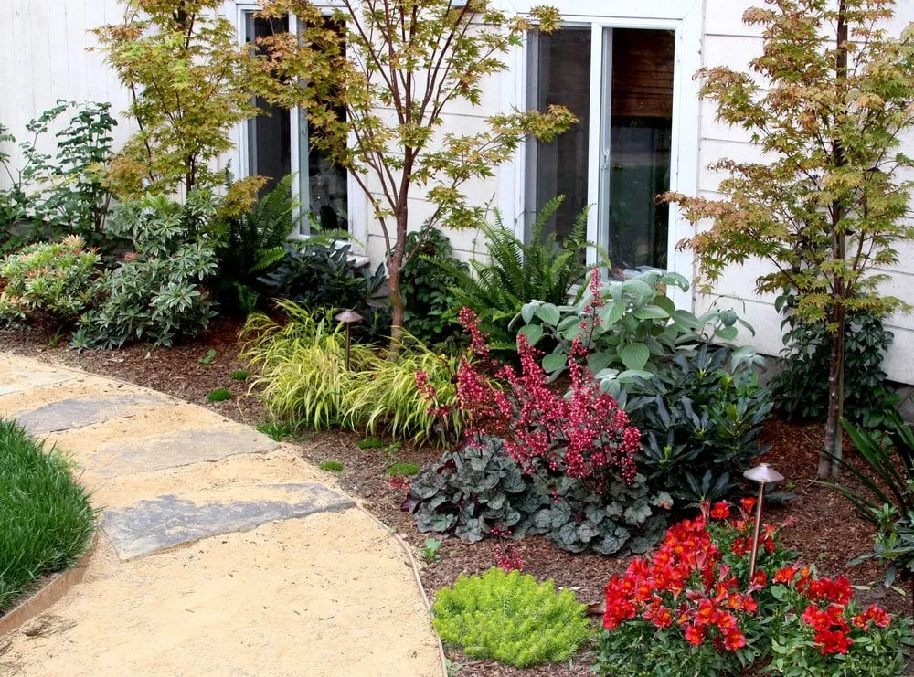 Affordable landscape design experts serving San Francisco, CA - Plantasia Design Group
