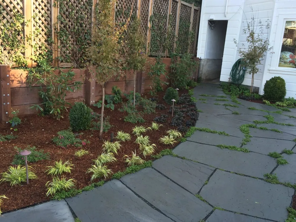 Local yard maintenance in San Francisco, CA by Plantasia Design Group
