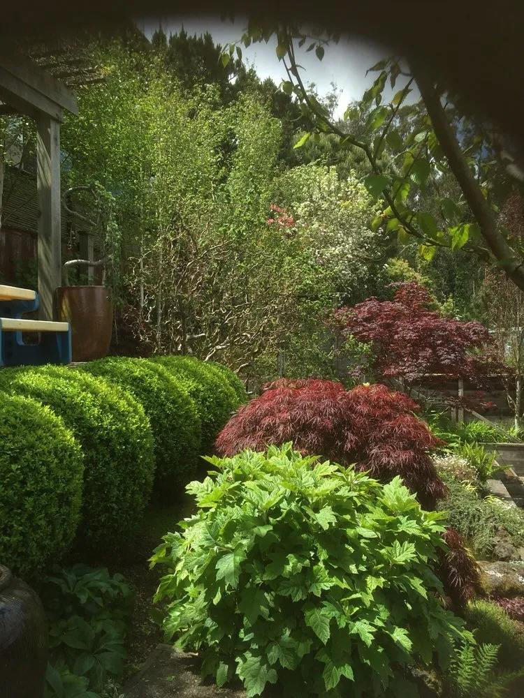 Trusted lawn mowing service in San Francisco, CA by Plantasia Design Group