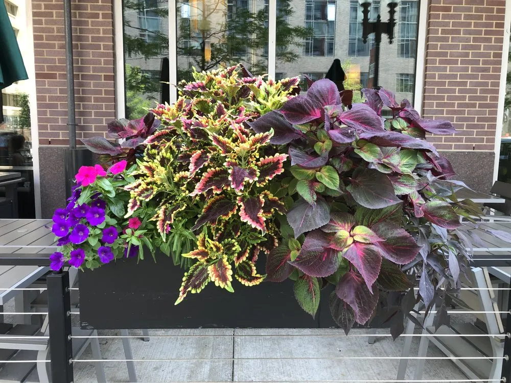 Affordable residential landscaping for homes in Rehoboth, MA by Plantasia Design, Inc.