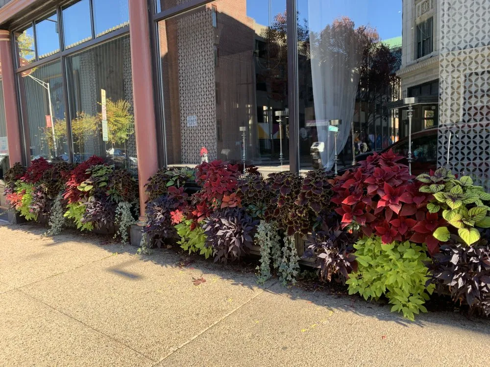 Top-rated landscape installation in Rehoboth, MA - Plantasia Design, Inc.