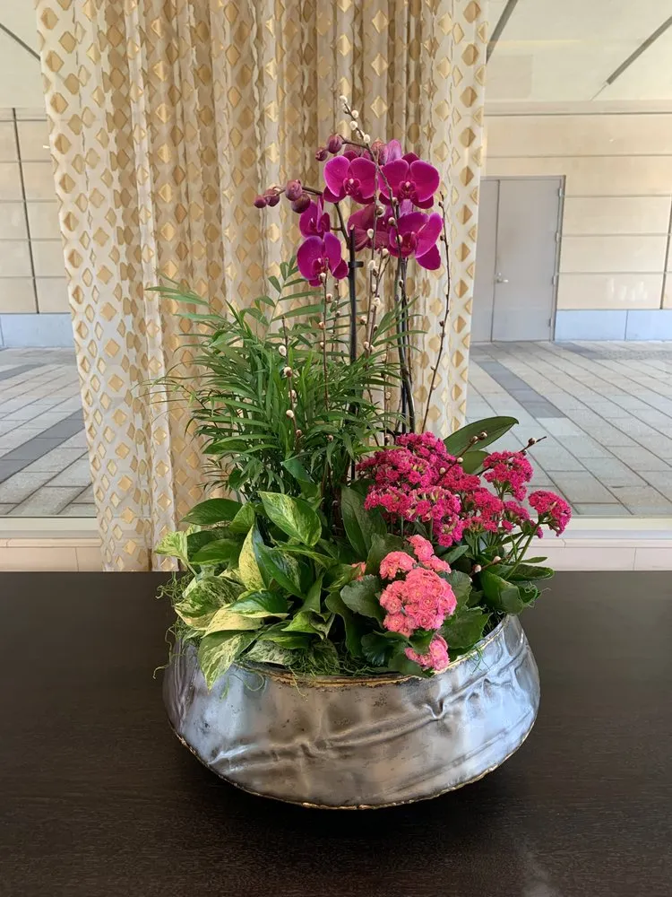 Local lawn care service with custom design across Rehoboth, MA - Plantasia Design, Inc.