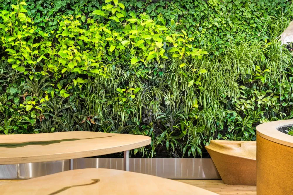 Top-rated landscape design experts serving Rehoboth, MA - Plantasia Design, Inc.