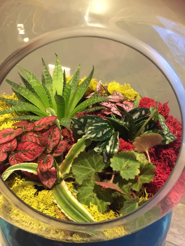 Trusted landscape design in Rehoboth, MA - Plantasia Design, Inc.