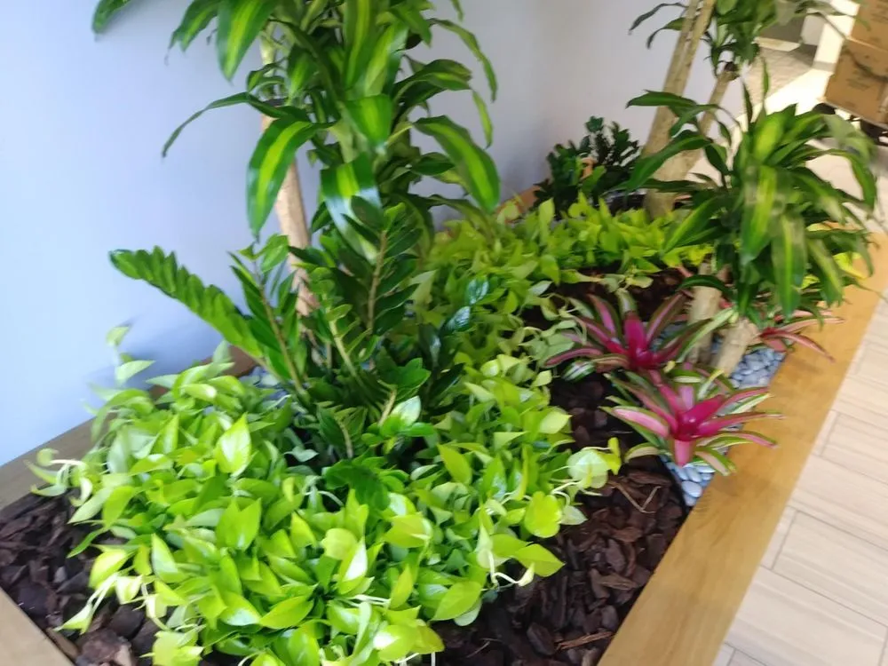 Reliable outdoor landscaping for residential properties across Rehoboth, MA - Plantasia Design, Inc.