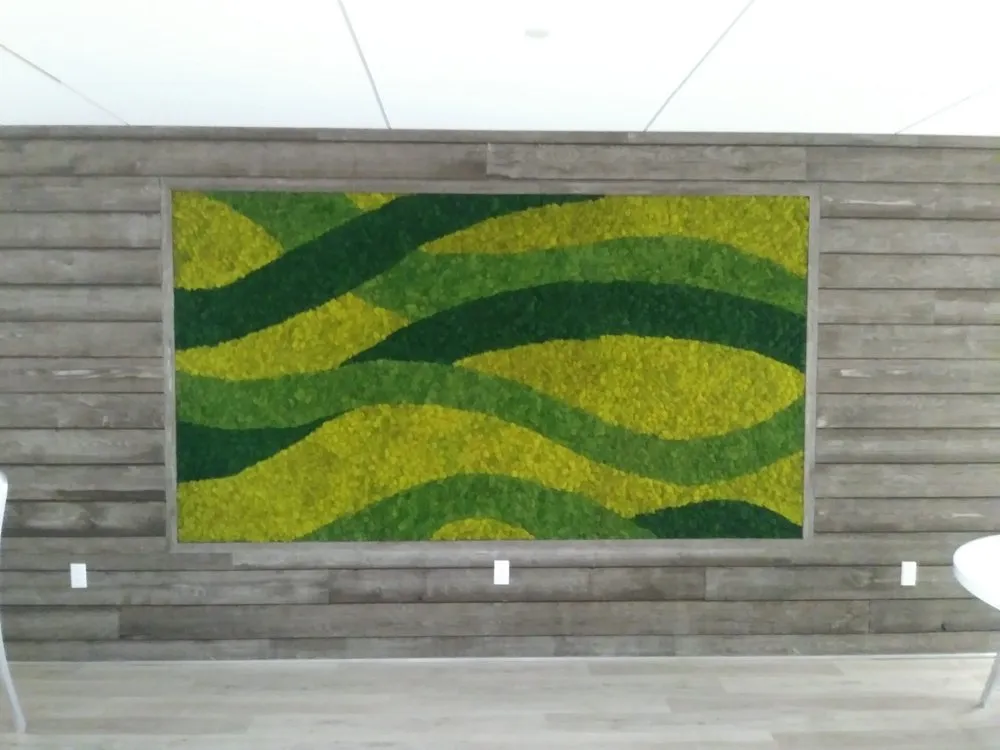 Trusted lawn mowing service for residential properties across Rehoboth, MA - Plantasia Design, Inc.