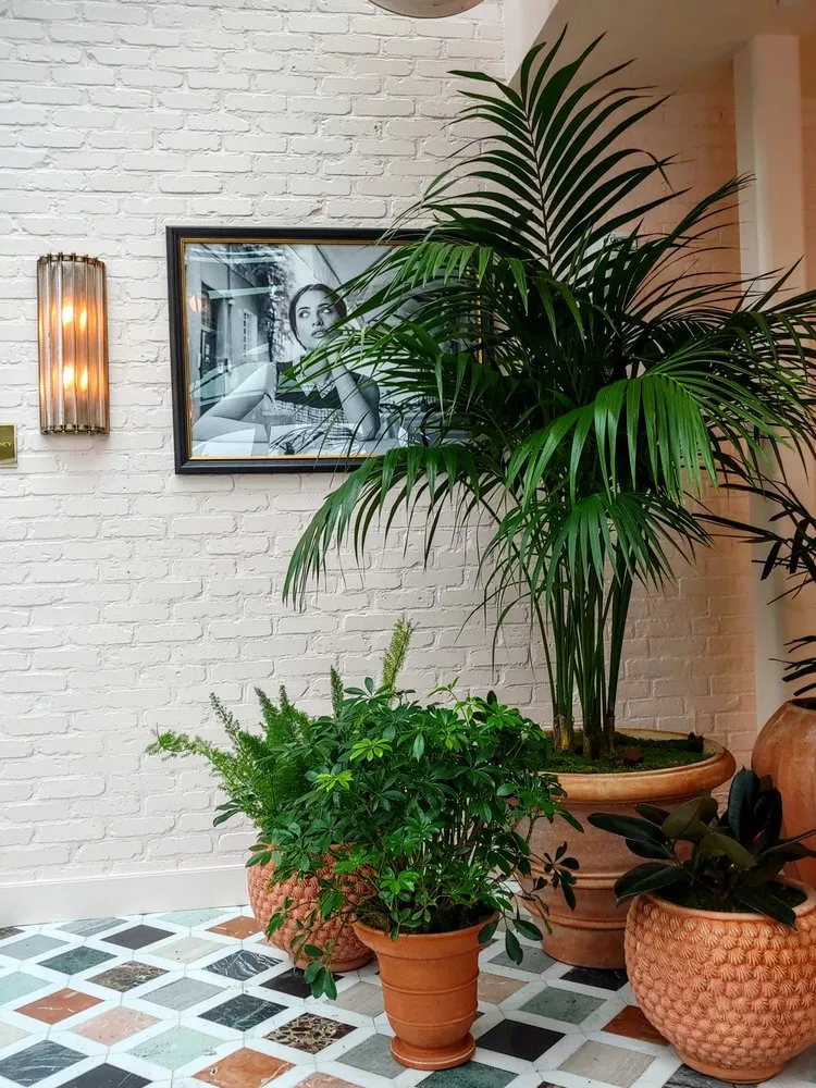 Reliable yard maintenance for homes across Rehoboth, MA - Plantasia Design, Inc.