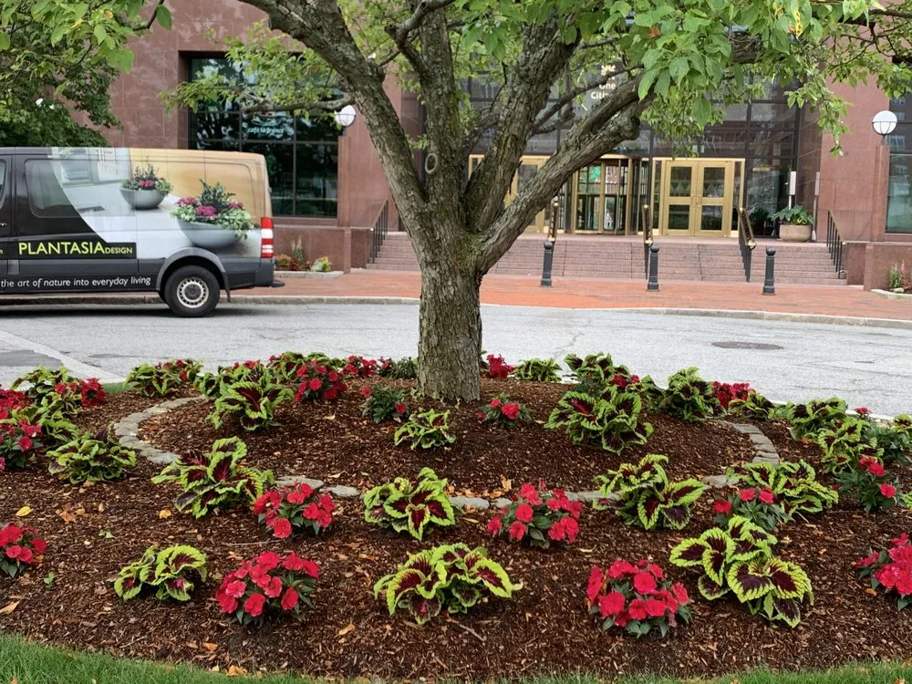Trusted residential landscaping for year-round maintenance across Rehoboth, MA - Plantasia Design, Inc.
