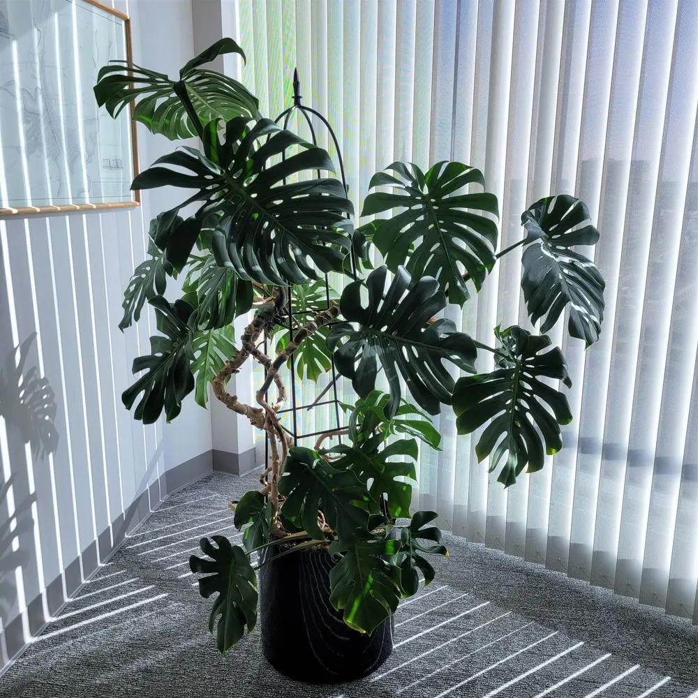 Affordable landscaping services experts serving Rehoboth, MA - Plantasia Design, Inc.