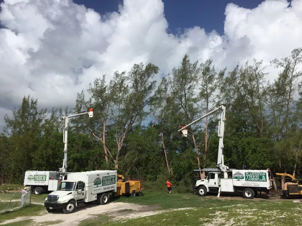 Custom outdoor landscaping in Tavernier, FL - Plantation Tree & Landscape