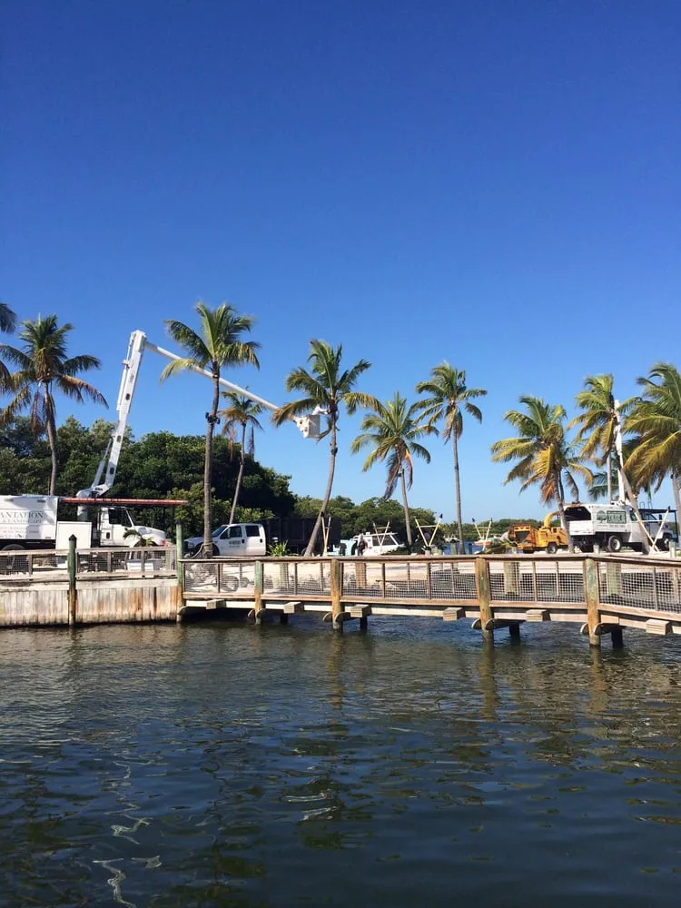 Professional lawn mowing service for year-round maintenance in Tavernier, FL by Plantation Tree & Landscape