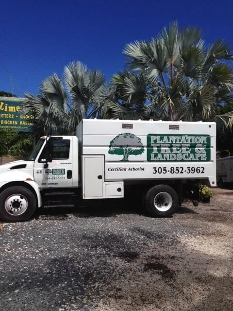 Professional outdoor landscaping with custom design across Tavernier, FL - Plantation Tree & Landscape