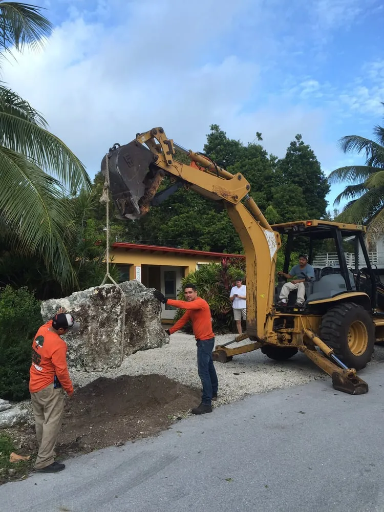 Local lawn care service experts serving Tavernier, FL - Plantation Tree & Landscape