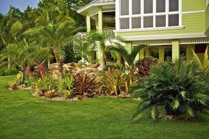 Top-rated lawn care service for beautiful yards across Tavernier, FL - Plantation Tree & Landscape