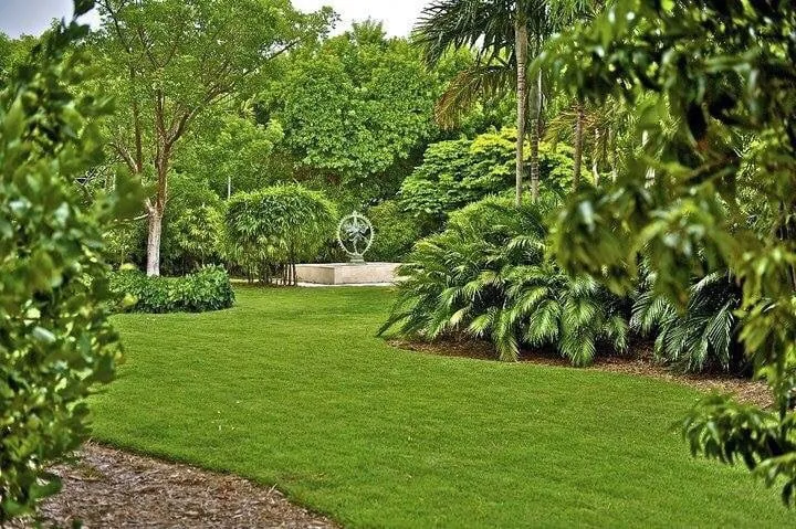 Custom yard maintenance in Tavernier, FL - Plantation Tree & Landscape