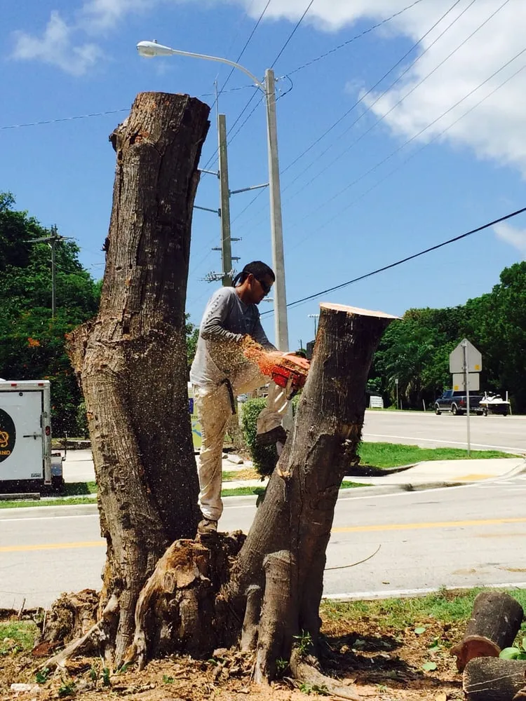 Top-rated landscaping services for residential properties across Tavernier, FL - Plantation Tree & Landscape