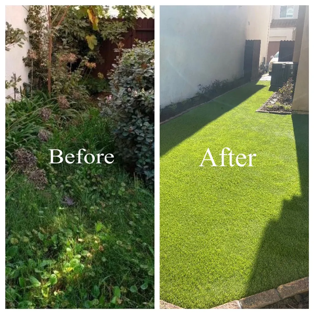 Professional lawn care service for year-round maintenance across Fountain Valley, CA - Planted Growth Omniscapes