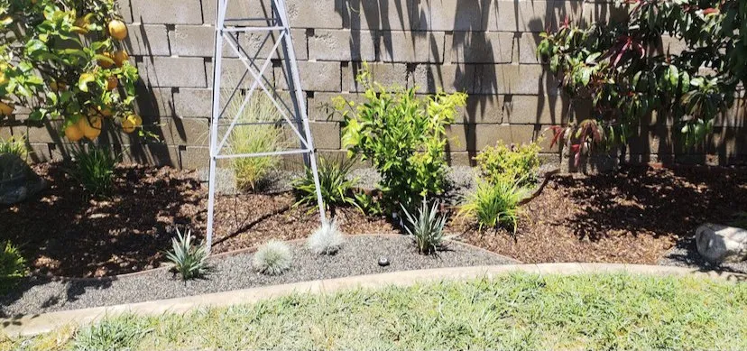 Custom yard cleanup service in Fountain Valley, CA - Planted Growth Omniscapes