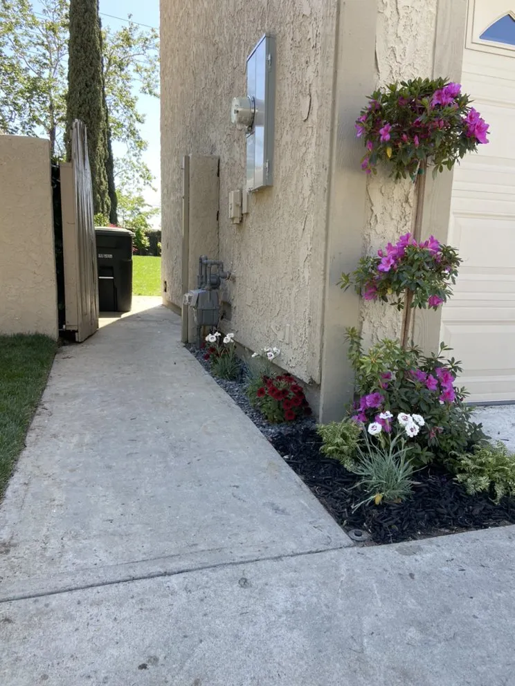 Reliable outdoor landscaping for outdoor upgrades across Fountain Valley, CA - Planted Growth Omniscapes