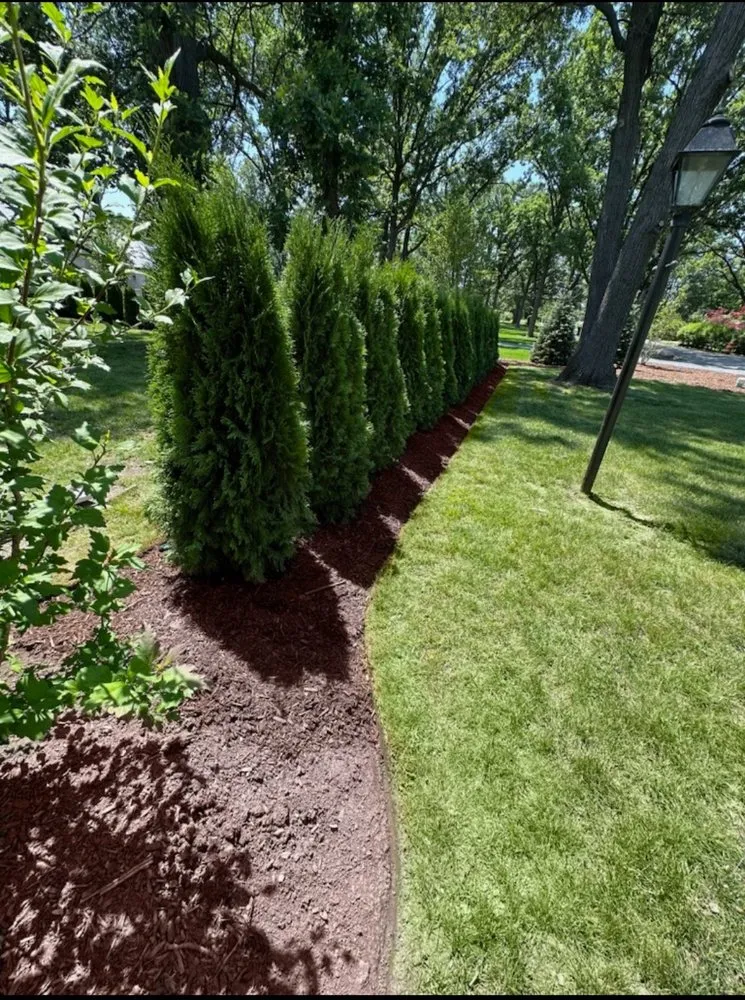 Expert yard maintenance for outdoor upgrades in Roselle, IL by Planted Landscaping