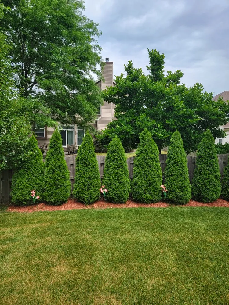 Custom garden landscaping experts serving Roselle, IL - Planted Landscaping