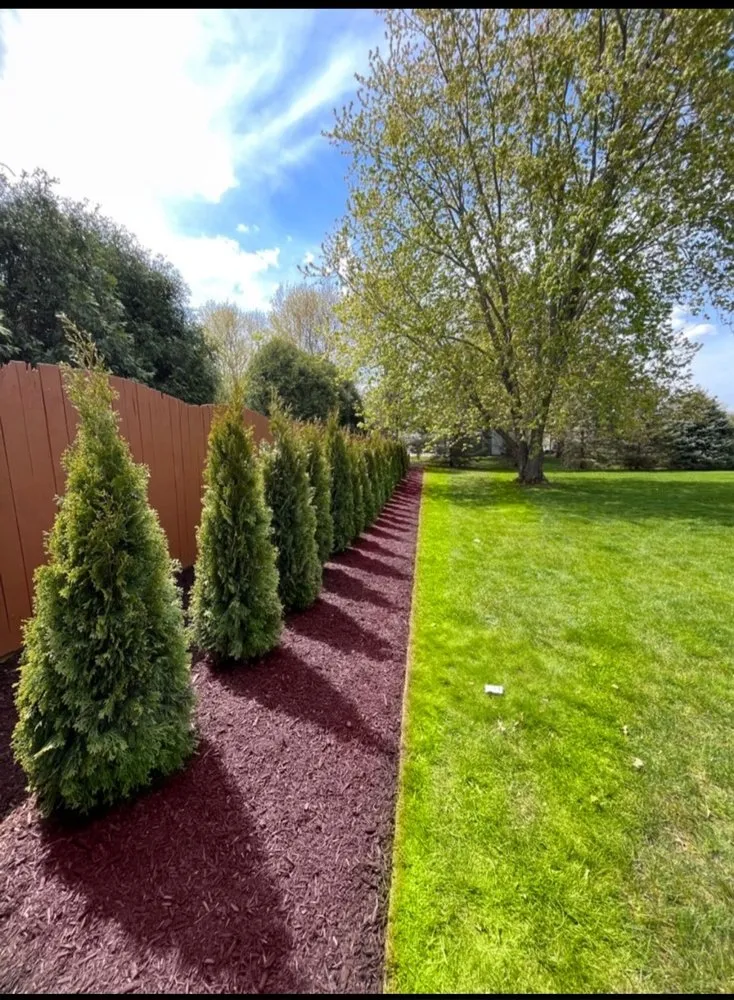 Top-rated yard cleanup service for beautiful yards in Roselle, IL by Planted Landscaping