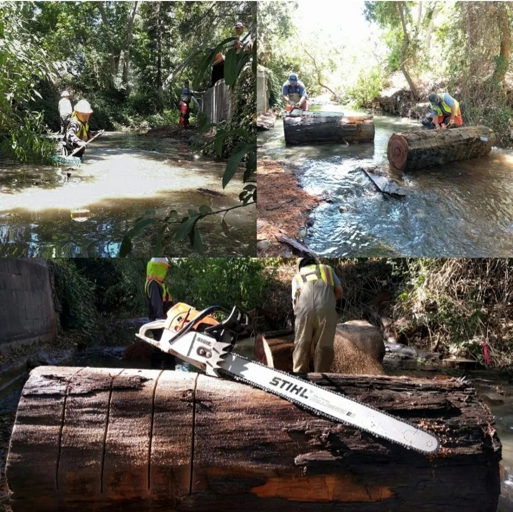 Custom yard cleanup service in San Jose, CA by Planted Landscaping Services