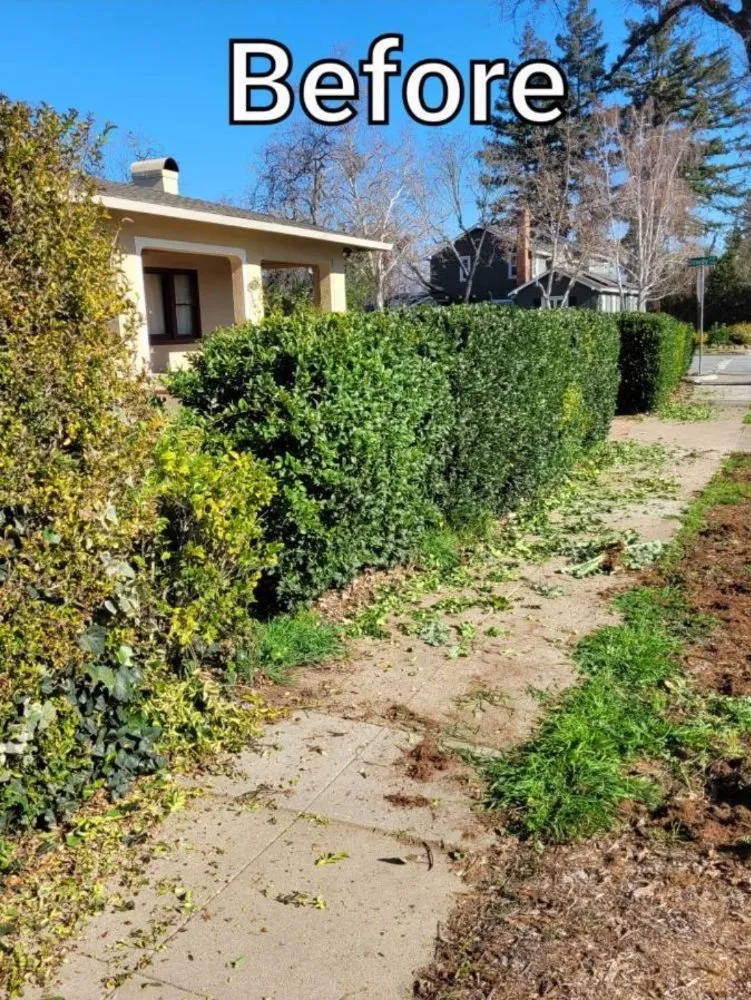 Top-rated outdoor landscaping for homes across San Jose, CA - Planted Landscaping Services