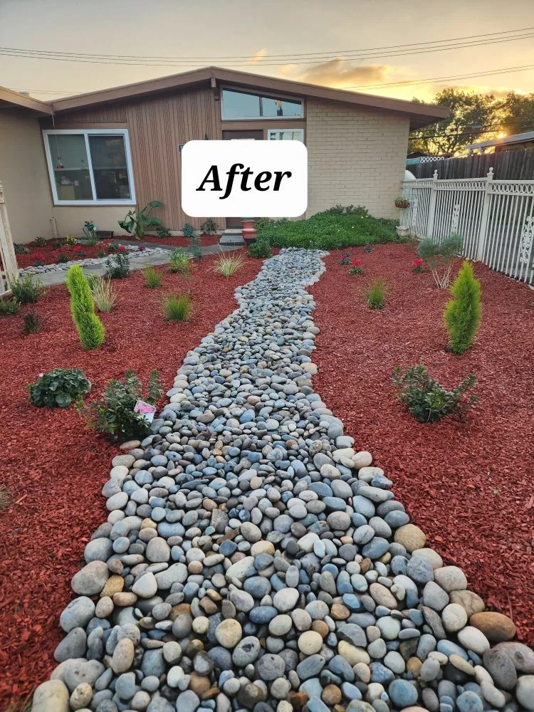 Top-rated residential landscaping in San Jose, CA - Planted Landscaping Services