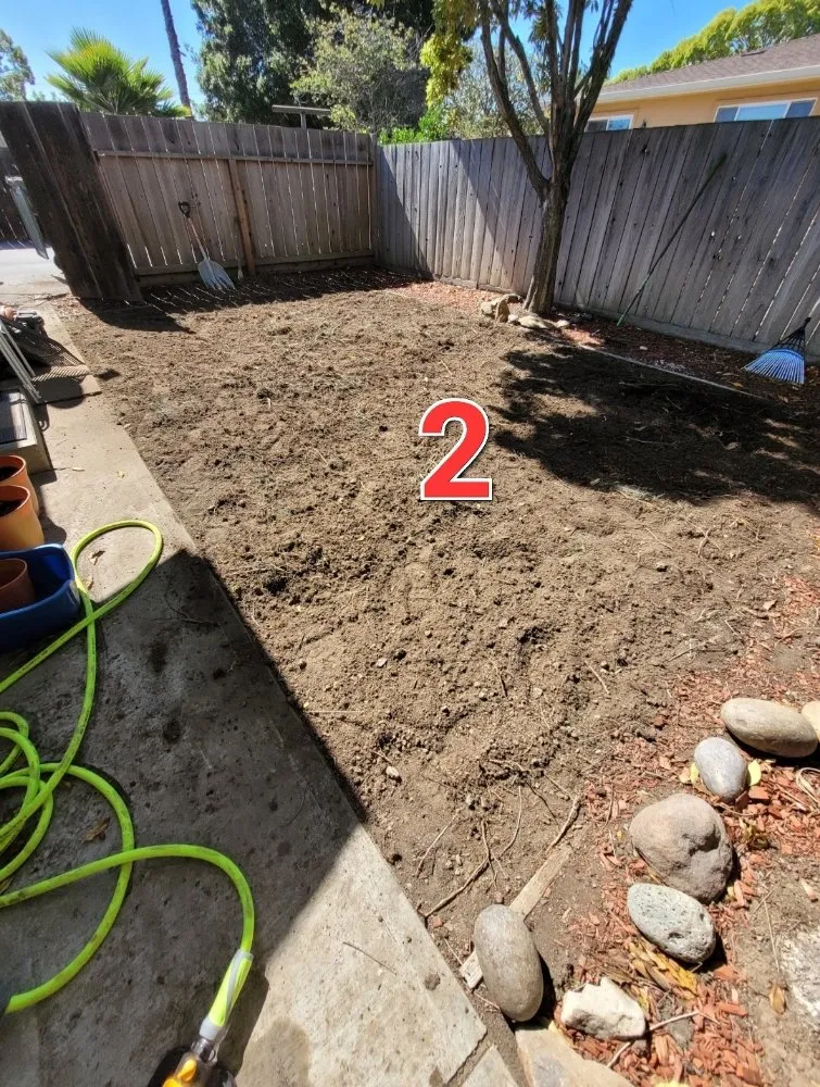 Top-rated landscape installation in San Jose, CA by Planted Landscaping Services