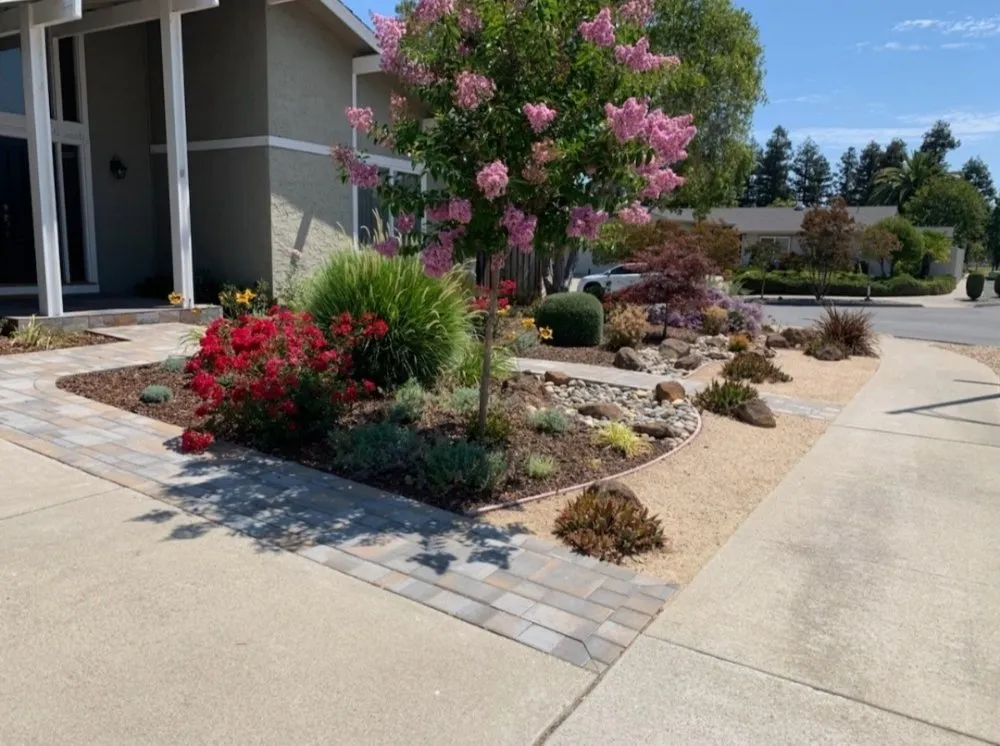 Expert residential landscaping in San Jose, CA by Planted Landscaping Services