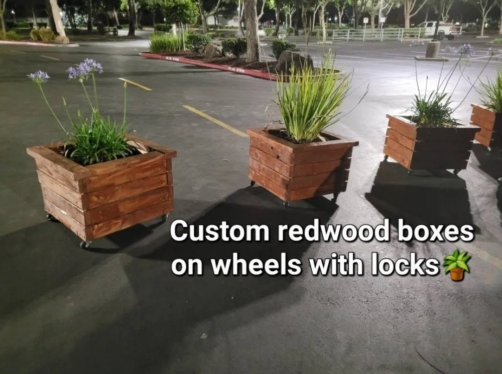 Top-rated yard maintenance experts serving San Jose, CA - Planted Landscaping Services