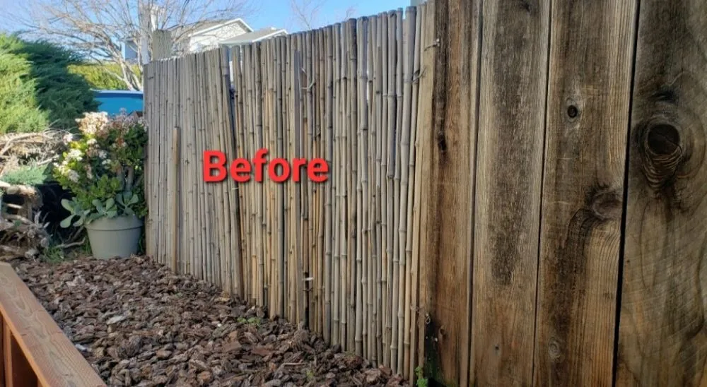 Professional outdoor landscaping in San Jose, CA - Planted Landscaping Services