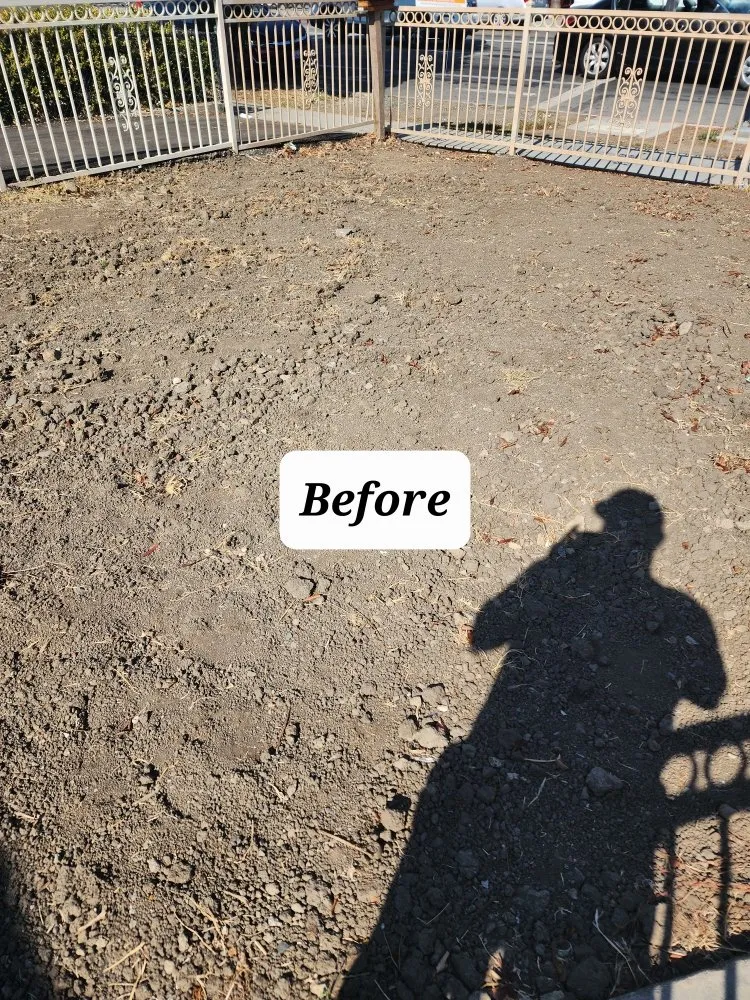 Top-rated garden landscaping for beautiful yards across San Jose, CA - Planted Landscaping Services