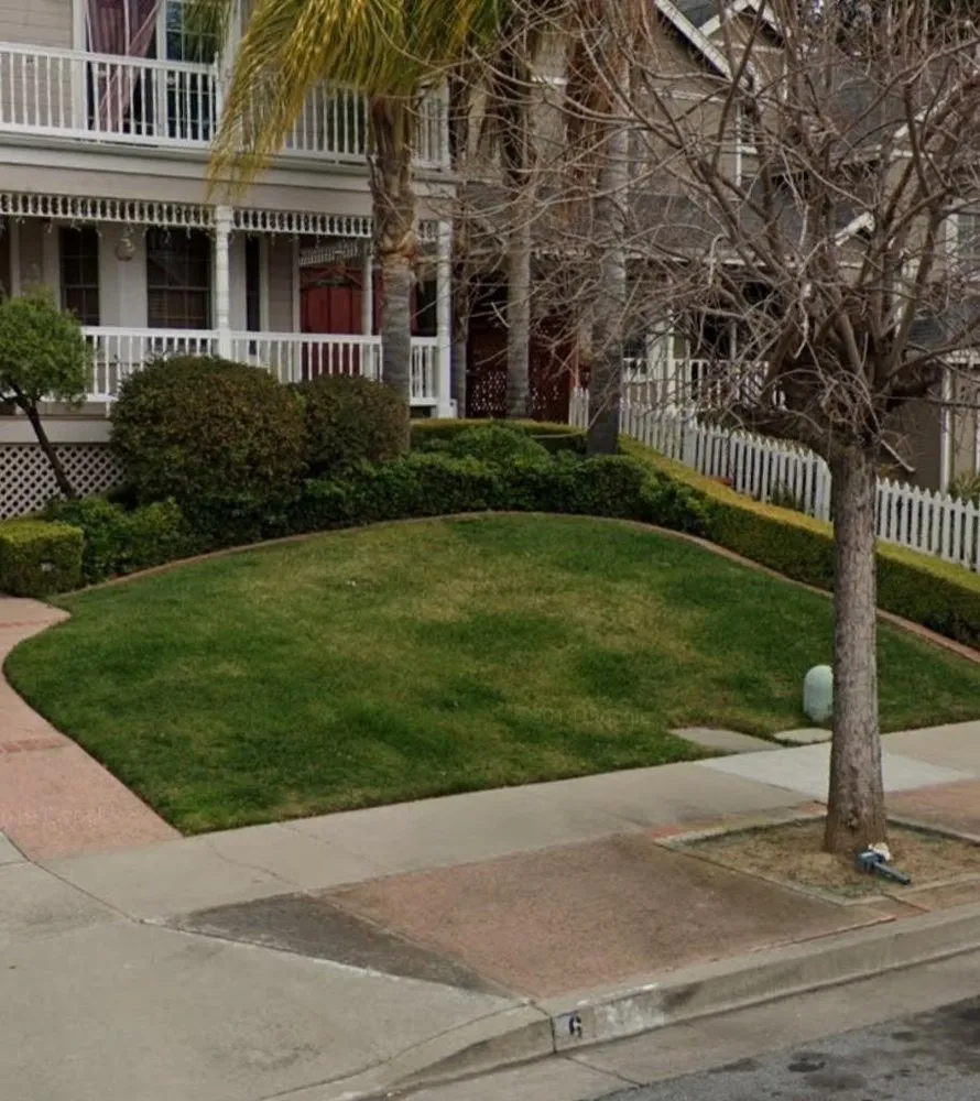 Top-rated residential landscaping experts serving San Jose, CA - Planted Landscaping Services
