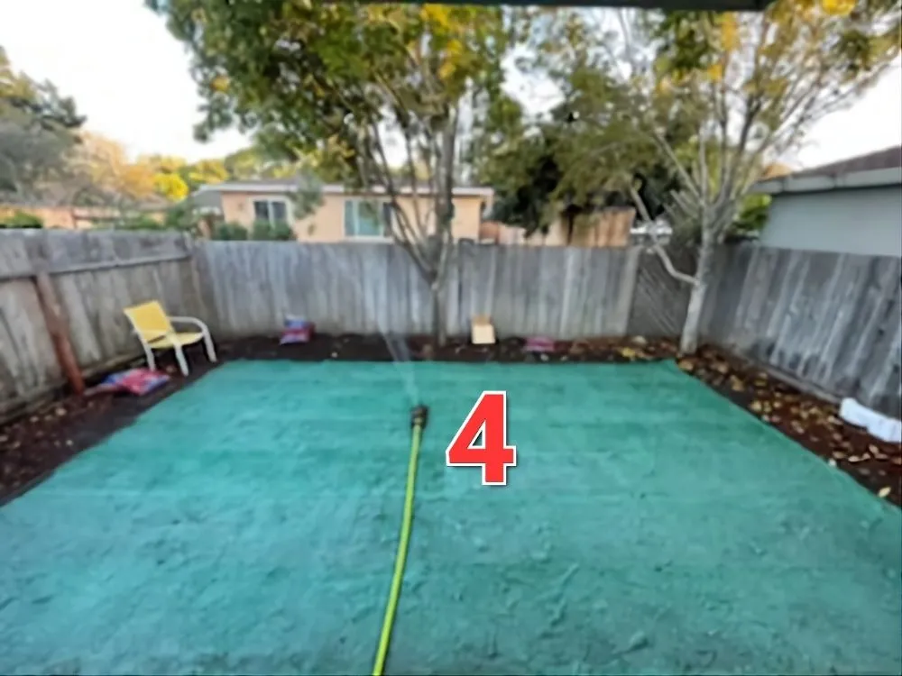 Top-rated lawn mowing service in San Jose, CA - Planted Landscaping Services