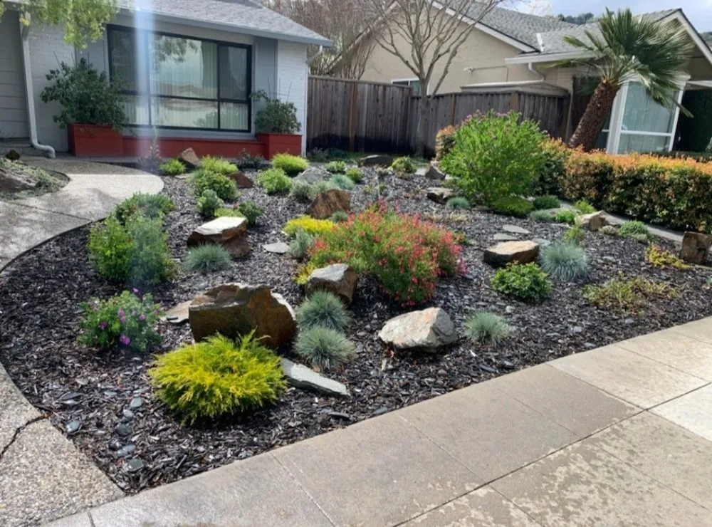 Professional yard cleanup service experts serving San Jose, CA - Planted Landscaping Services