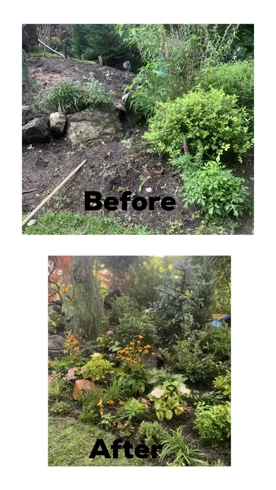 Top-rated lawn mowing service in Bay Shore, NY - Planteriors Design and Amazing Earth